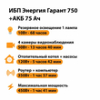 ИБП для котла Энергия Гарант 750 + Аккумулятор 75 Ач 12 В (450Вт - 91мин) - ИБП и АКБ - ИБП для котлов - магазин электрооборудования amperomvolt.ru
